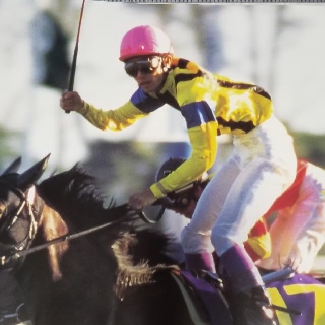Amazon.co.jp: ダンスインザダーク 競馬ポスター 菊花賞 優勝馬武豊